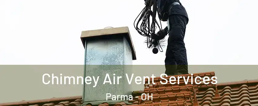  Chimney Air Vent Services Parma - OH