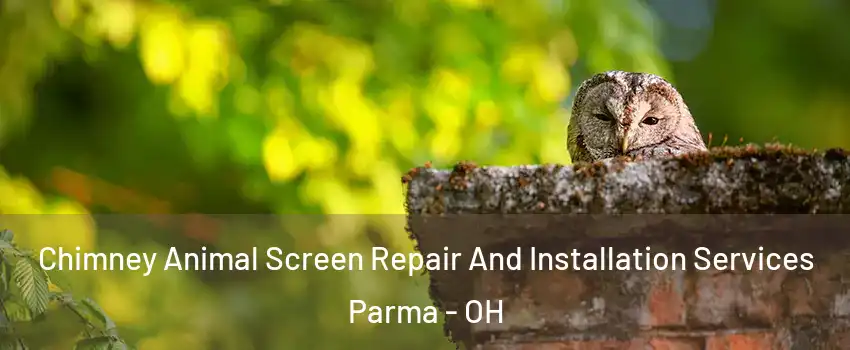  Chimney Animal Screen Repair And Installation Services Parma - OH
