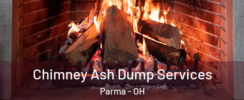  Chimney Ash Dump Services Parma - OH