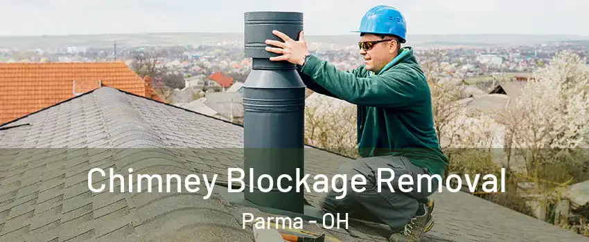  Chimney Blockage Removal Parma - OH