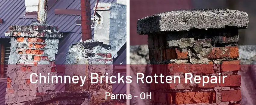  Chimney Bricks Rotten Repair Parma - OH