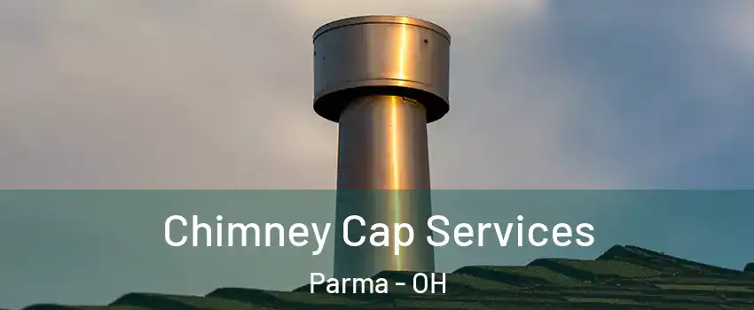  Chimney Cap Services Parma - OH