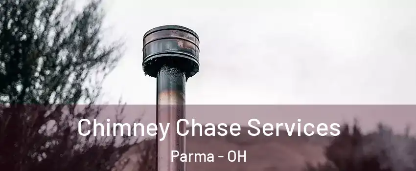  Chimney Chase Services Parma - OH
