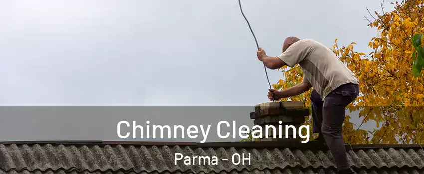  Chimney Cleaning Parma - OH