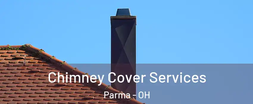  Chimney Cover Services Parma - OH