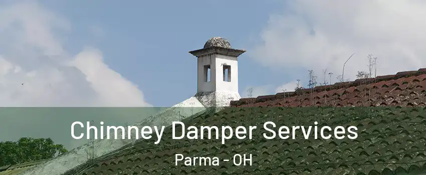  Chimney Damper Services Parma - OH