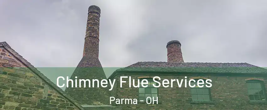  Chimney Flue Services Parma - OH