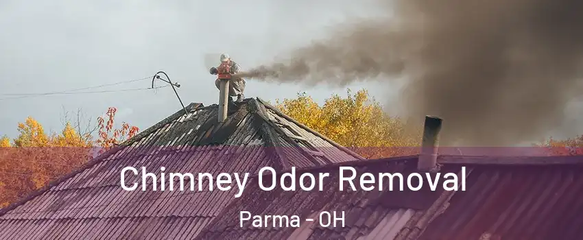  Chimney Odor Removal Parma - OH