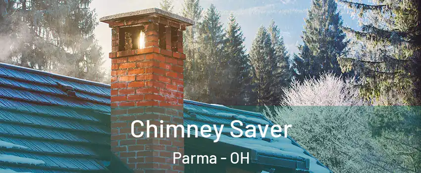  Chimney Saver Parma - OH