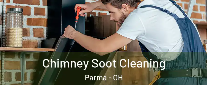  Chimney Soot Cleaning Parma - OH
