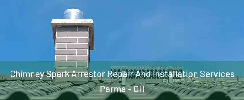  Chimney Spark Arrestor Repair And Installation Services Parma - OH