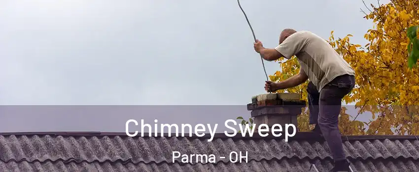  Chimney Sweep Parma - OH