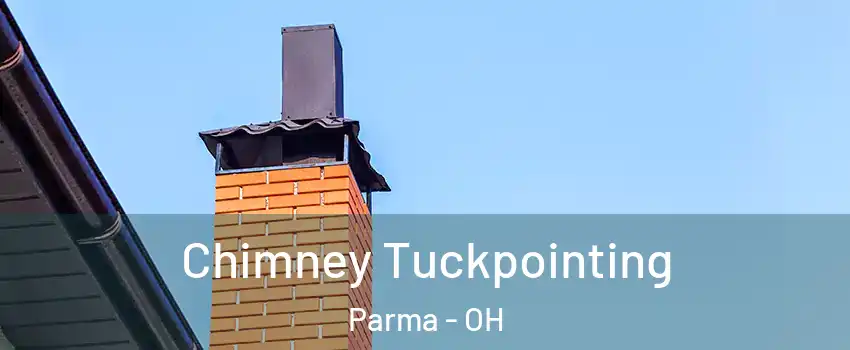  Chimney Tuckpointing Parma - OH
