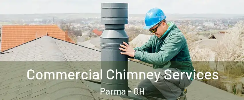  Commercial Chimney Services Parma - OH