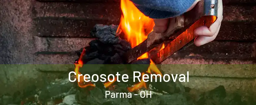  Creosote Removal Parma - OH