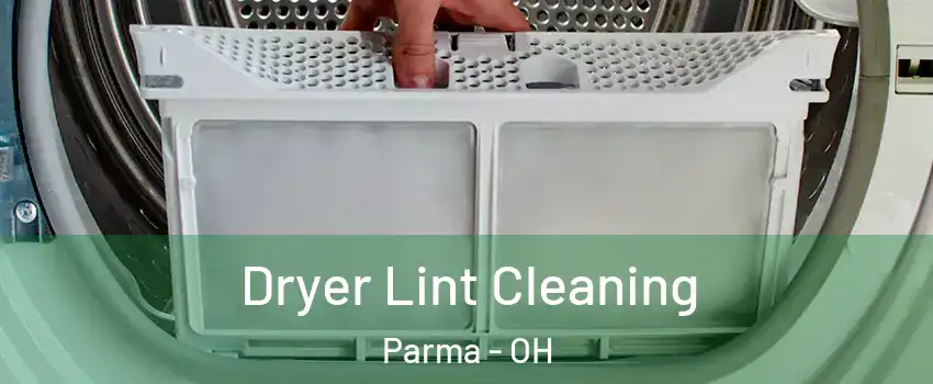  Dryer Lint Cleaning Parma - OH