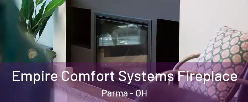  Empire Comfort Systems Fireplace Parma - OH