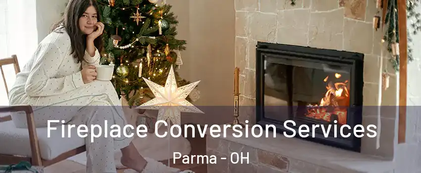  Fireplace Conversion Services Parma - OH