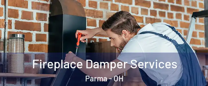  Fireplace Damper Services Parma - OH