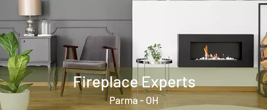  Fireplace Experts Parma - OH