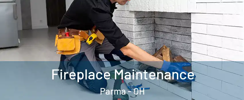  Fireplace Maintenance Parma - OH
