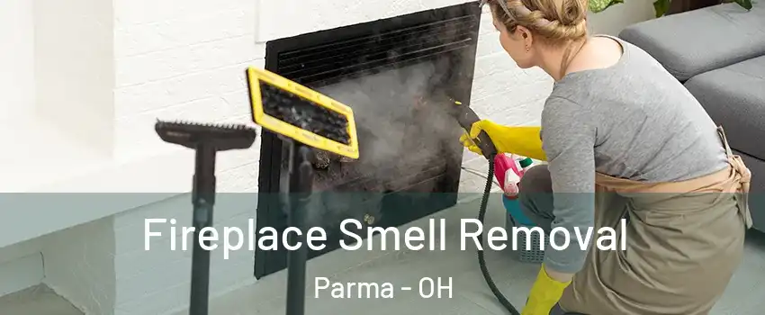  Fireplace Smell Removal Parma - OH