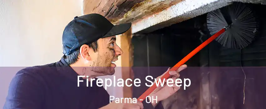  Fireplace Sweep Parma - OH