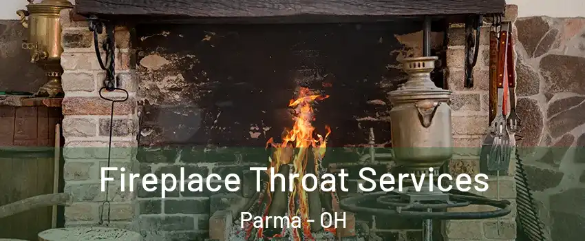  Fireplace Throat Services Parma - OH
