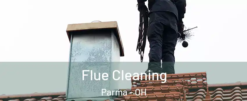  Flue Cleaning Parma - OH