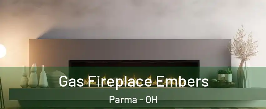  Gas Fireplace Embers Parma - OH