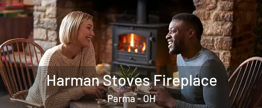  Harman Stoves Fireplace Parma - OH