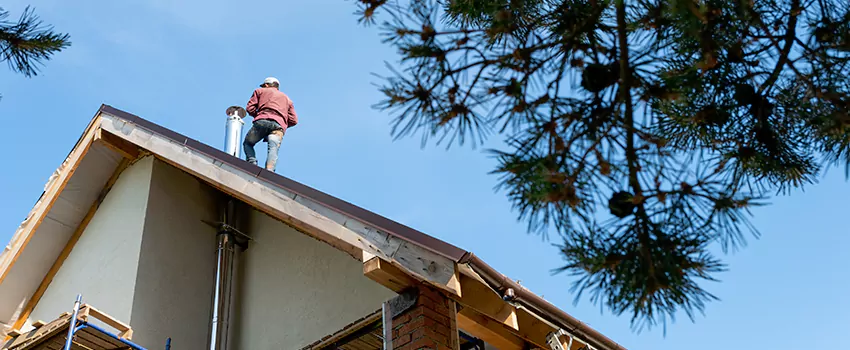 Birds Removal Contractors from Chimney in Parma, OH