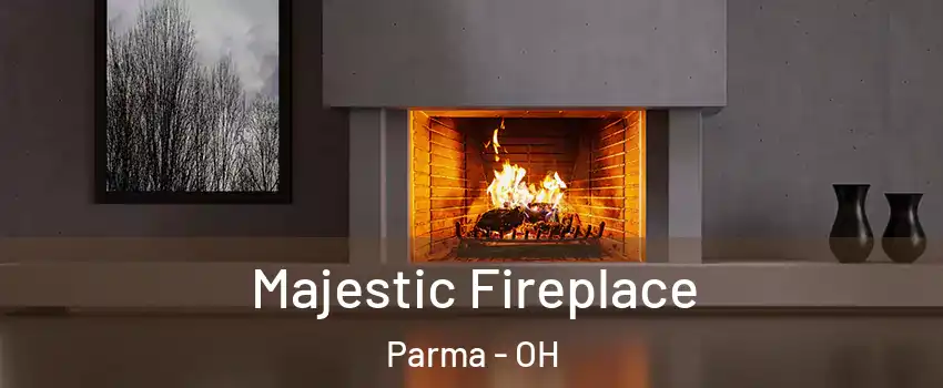  Majestic Fireplace Parma - OH