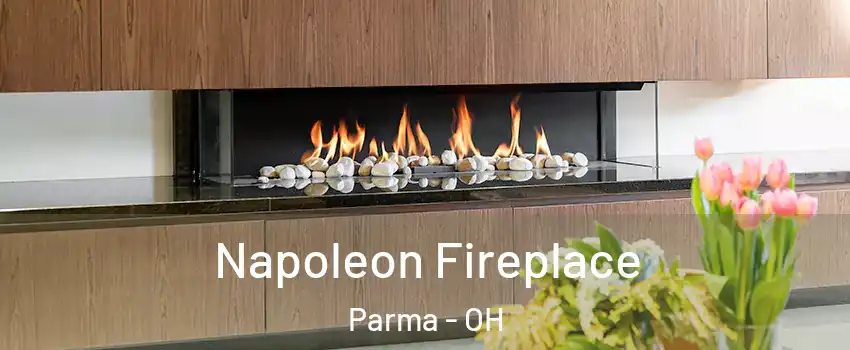  Napoleon Fireplace Parma - OH