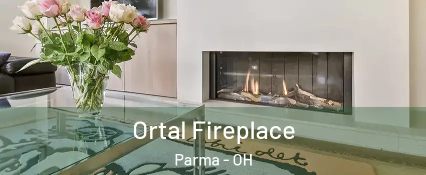  Ortal Fireplace Parma - OH