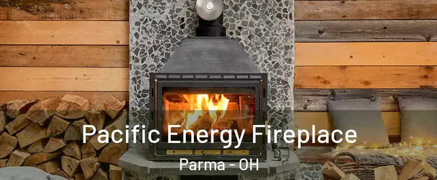  Pacific Energy Fireplace Parma - OH