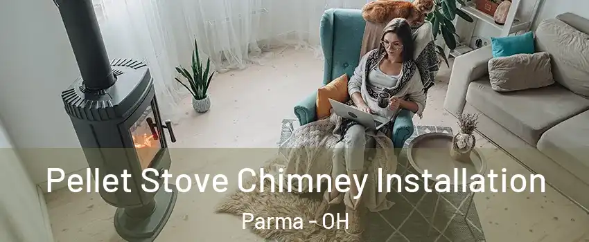  Pellet Stove Chimney Installation Parma - OH