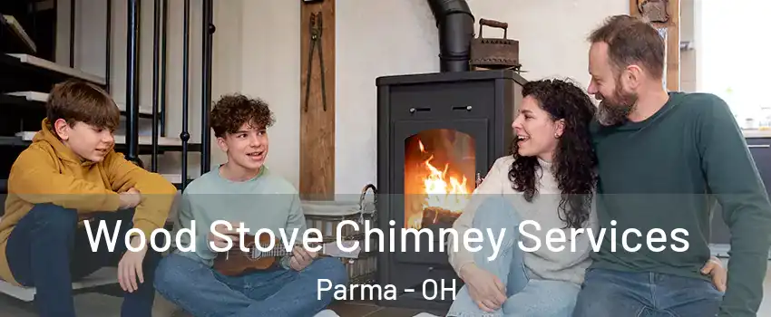  Wood Stove Chimney Services Parma - OH
